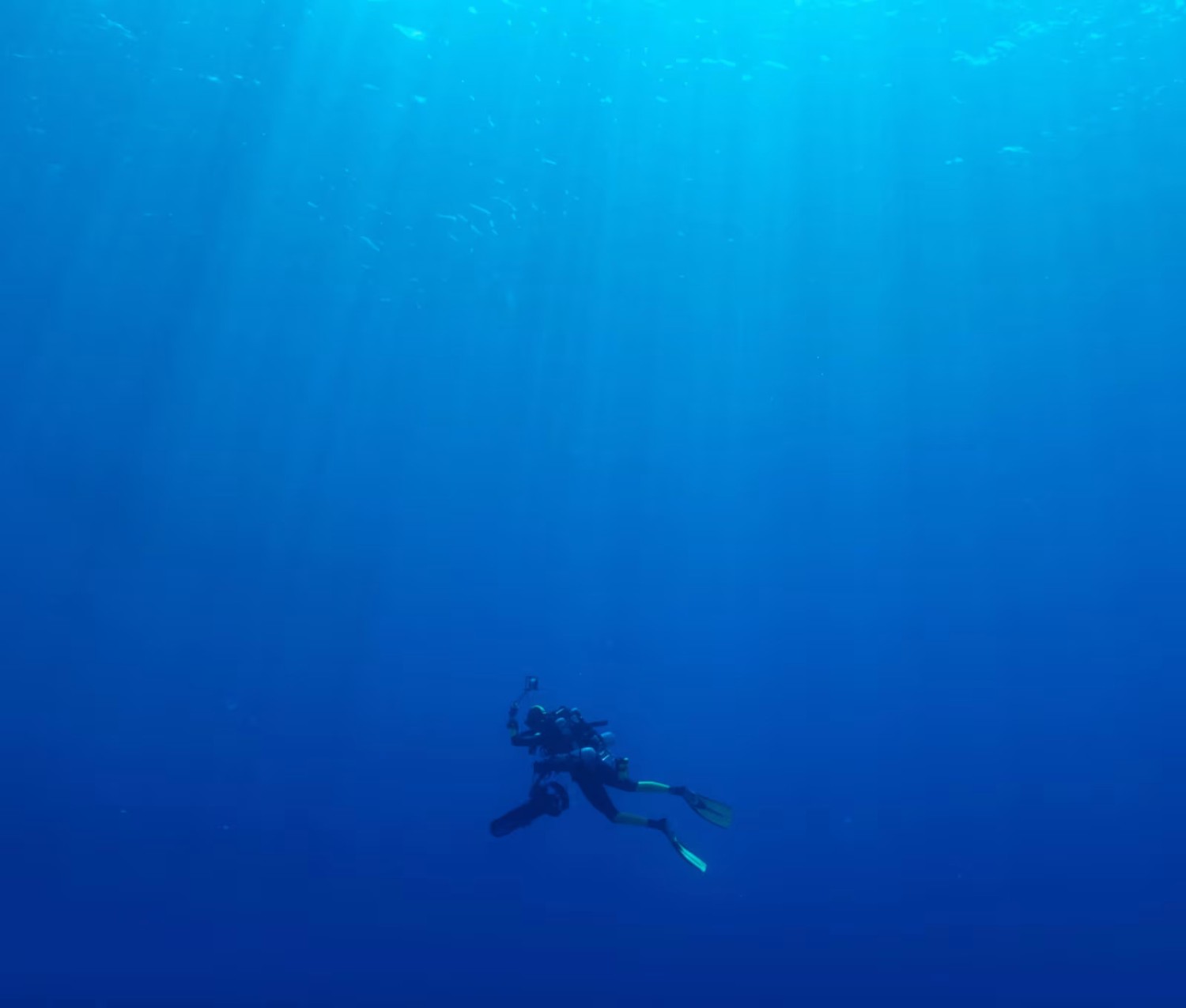 Horlo online store promo